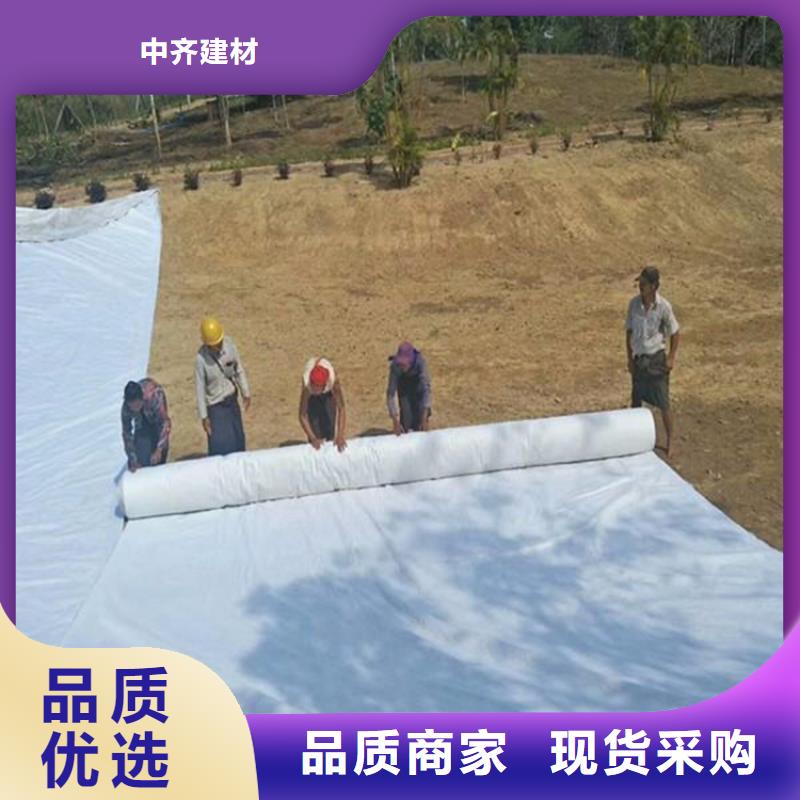 保亭縣無紡土工布