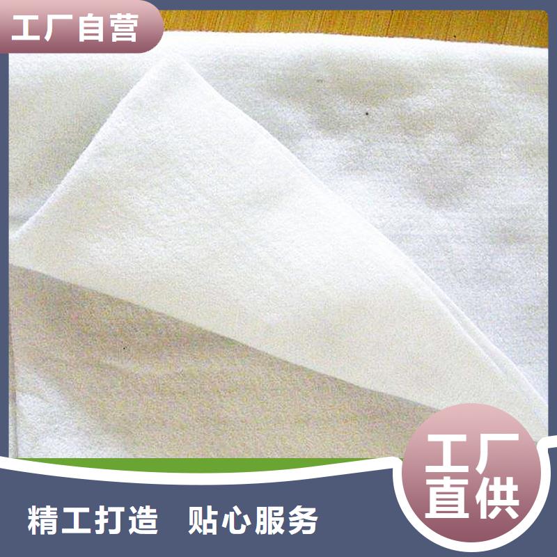 反濾隔離土工布
