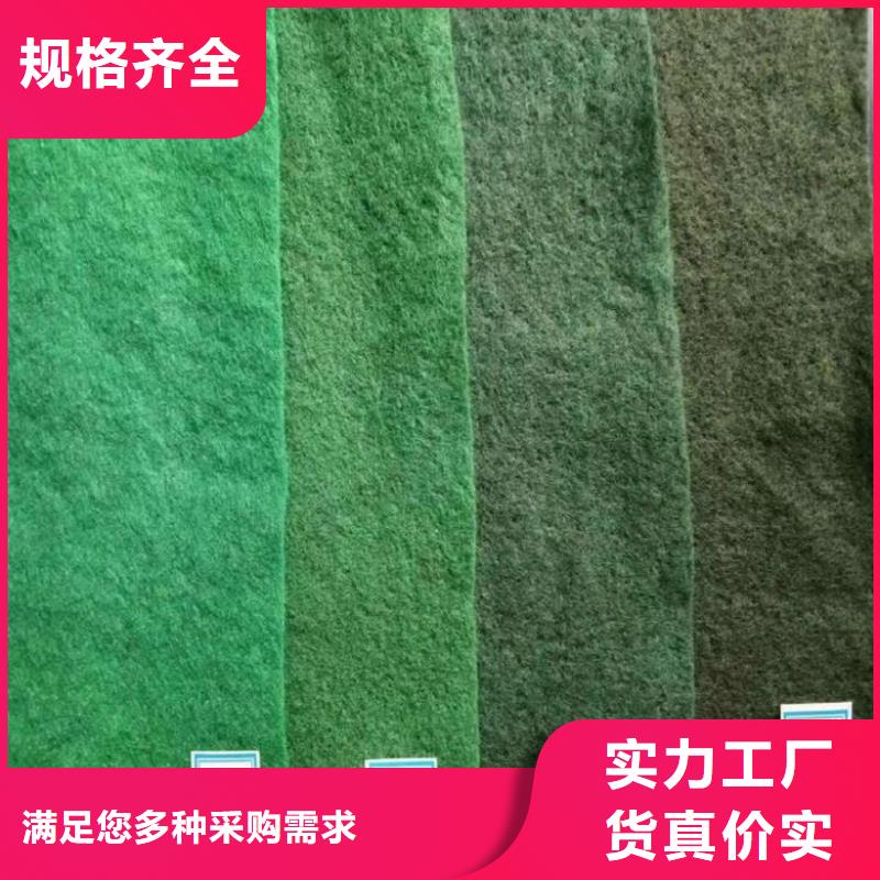 【土工布】土工格柵廠家直銷規格多樣
