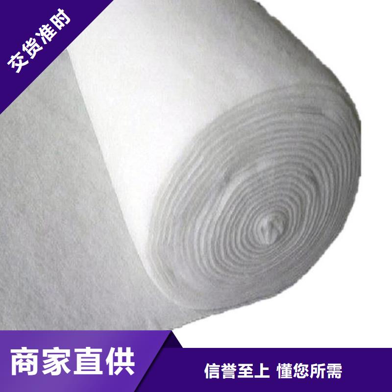 防水土工布-公路養(yǎng)護(hù)土工布-長(zhǎng)絲燒毛土工布