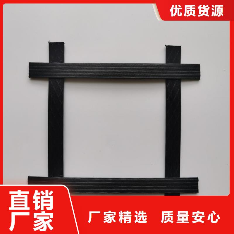 土工格柵-高強(qiáng)度土工格柵