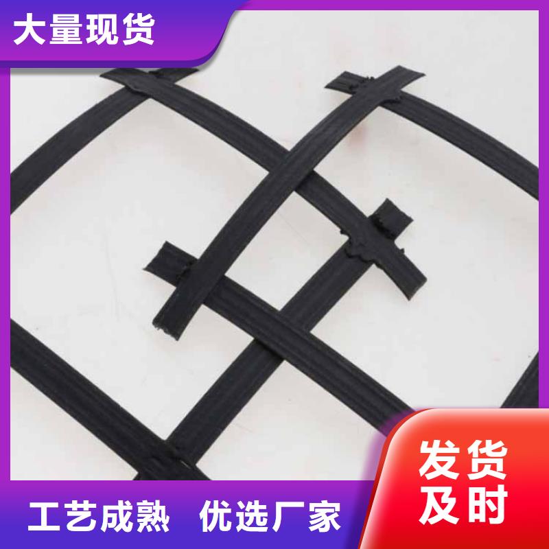 玻纖土工格柵-聚乙烯土工格柵