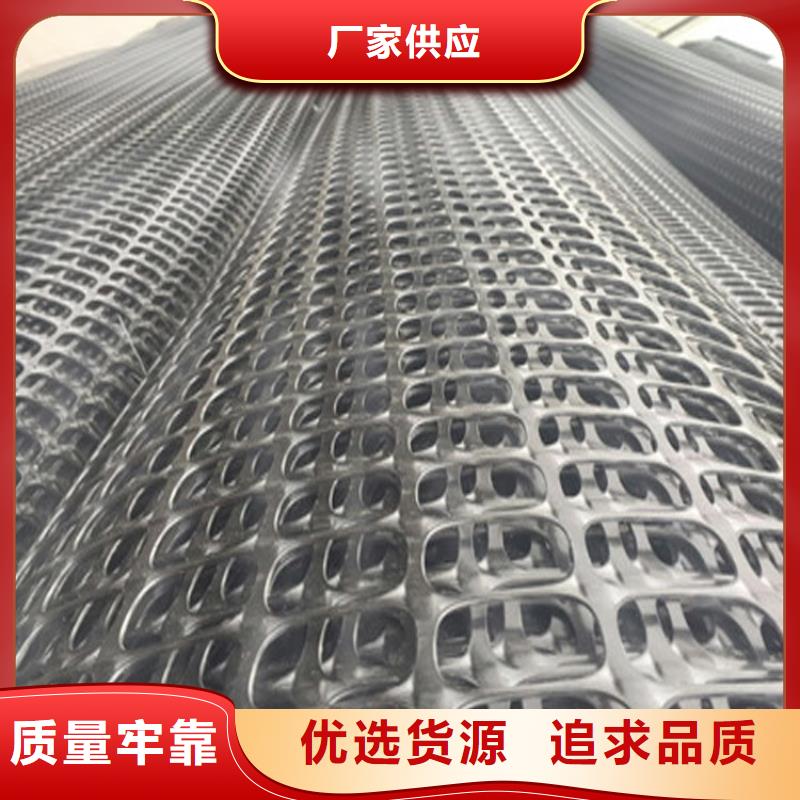 聚酯玻纖土工格柵-土工格柵復(fù)合土工布-路面土工格柵