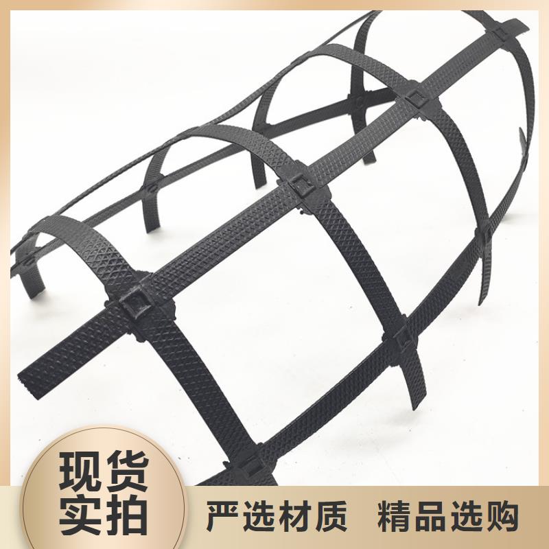 鋼塑土工格柵-TGDG單向塑料土工格柵-加筋玻纖土工格柵