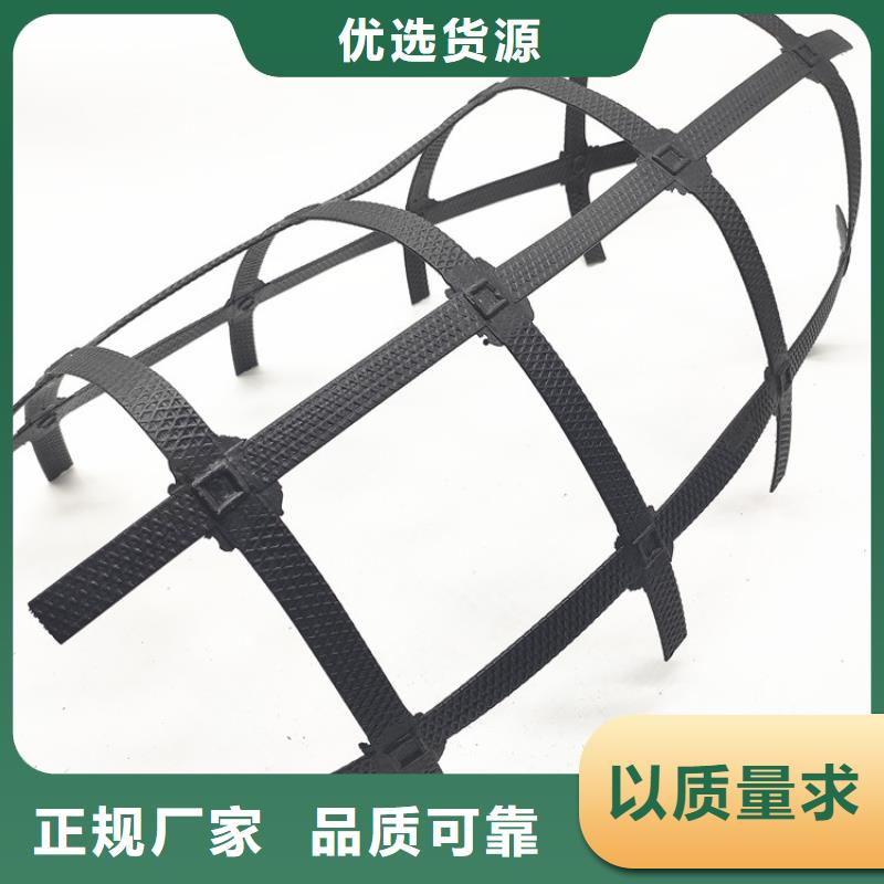 玻璃纖維格柵-公路路基土工格柵