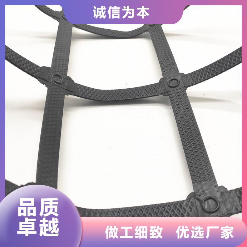 土工格柵三維植被網發貨迅速