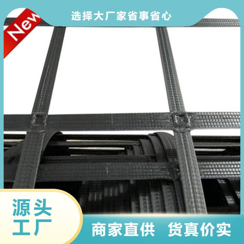 80kn玻纖土工格柵-TGSG雙向塑料土工格柵-加筋玻纖土工格柵
