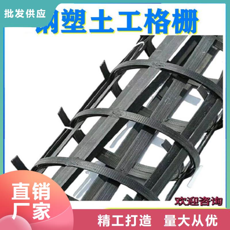 80kn玻纖土工格柵-TGSG雙向塑料土工格柵-加筋玻纖土工格柵