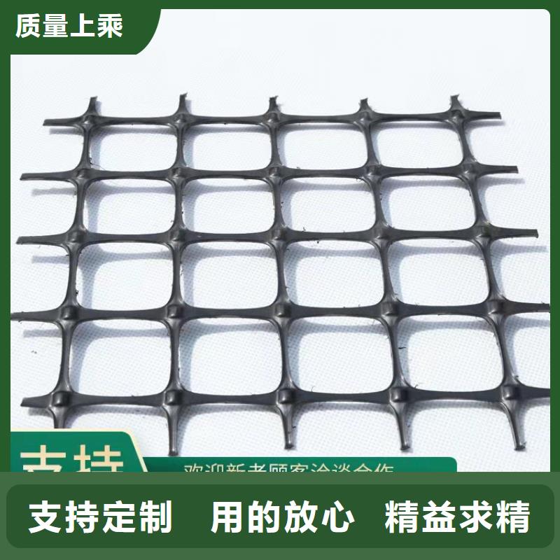土工格柵三維植被網發貨迅速