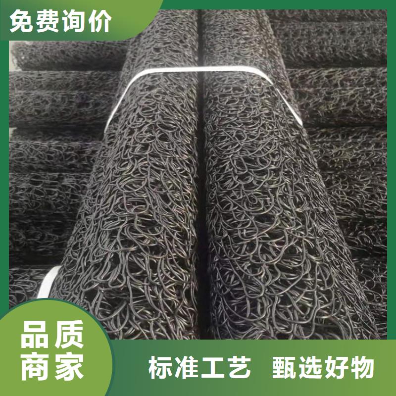 土工格栅视频-土工格栅_四川省宜宾市市场覆盖兴文|屏山|广元|资阳|乐山|成都|泸州|凉山等