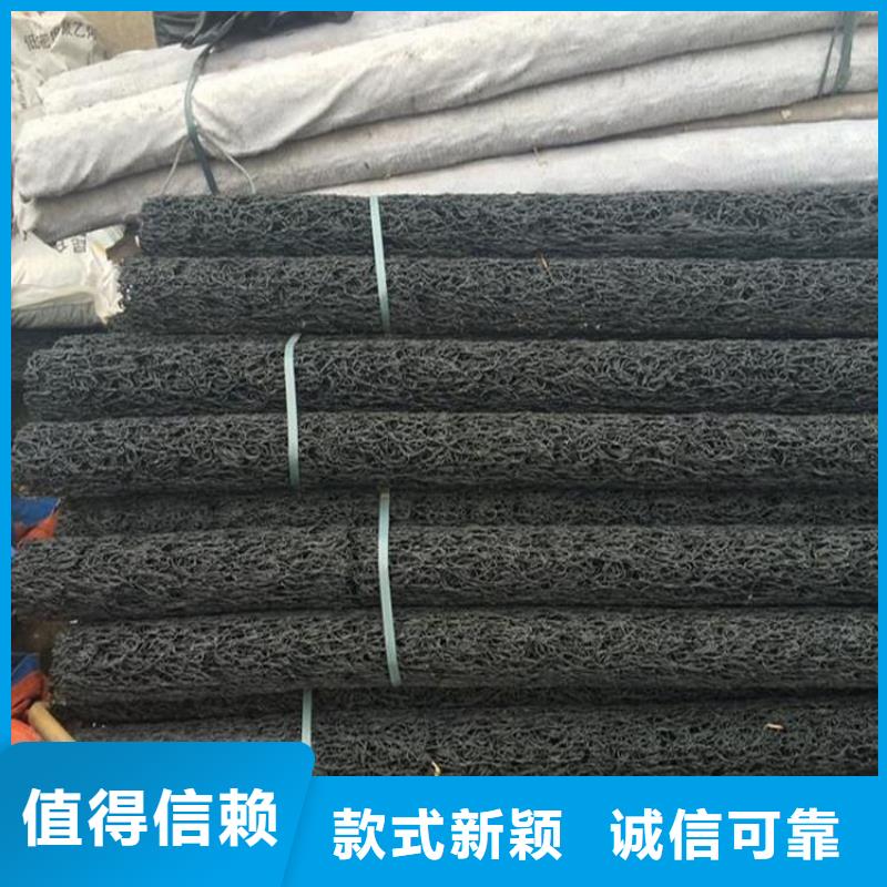 塑料盲溝防滲膜實(shí)力廠家