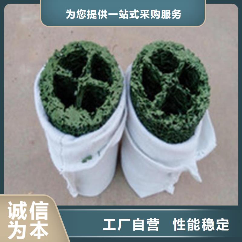 土工格栅视频-土工格栅_四川省宜宾市市场覆盖兴文|屏山|广元|资阳|乐山|成都|泸州|凉山等