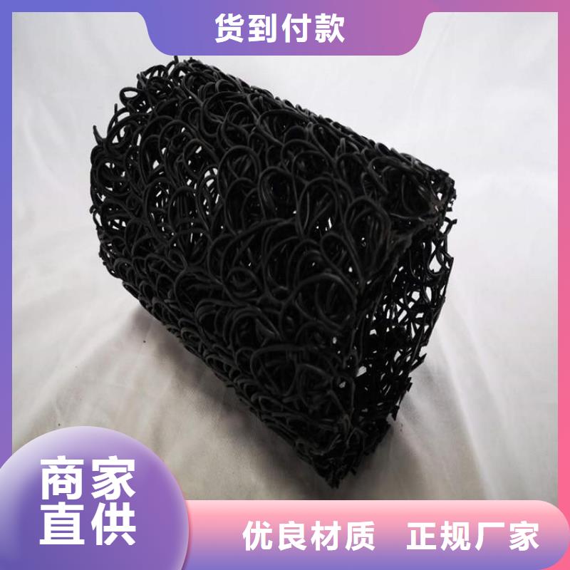土工格栅视频-土工格栅_山东省淄博市市场覆盖临淄|高青|威海|青岛|日照|临沂|枣庄|泰安等