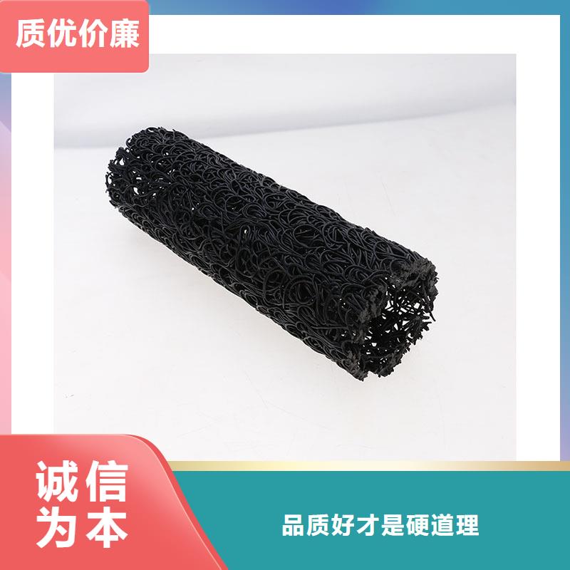塑料盲溝土工格柵廠家