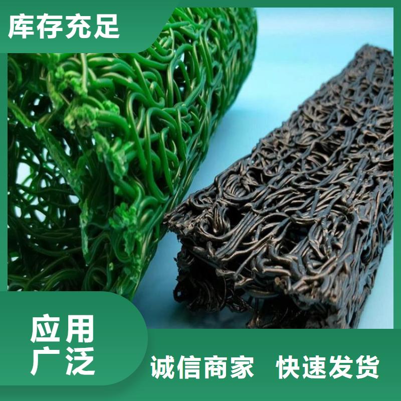 塑料盲沟防渗膜实力厂家