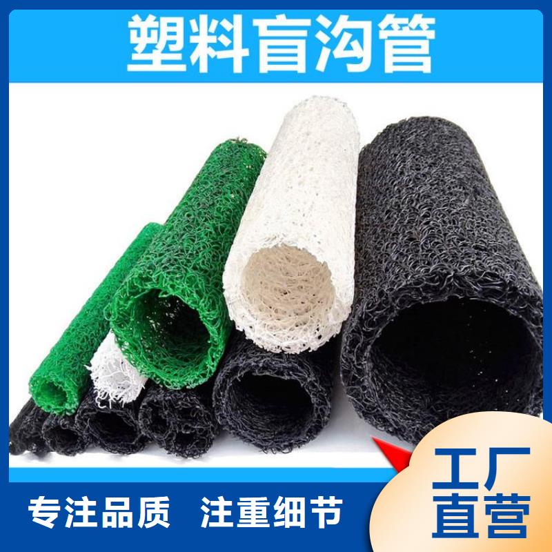 塑料盲沟防渗膜实力厂家