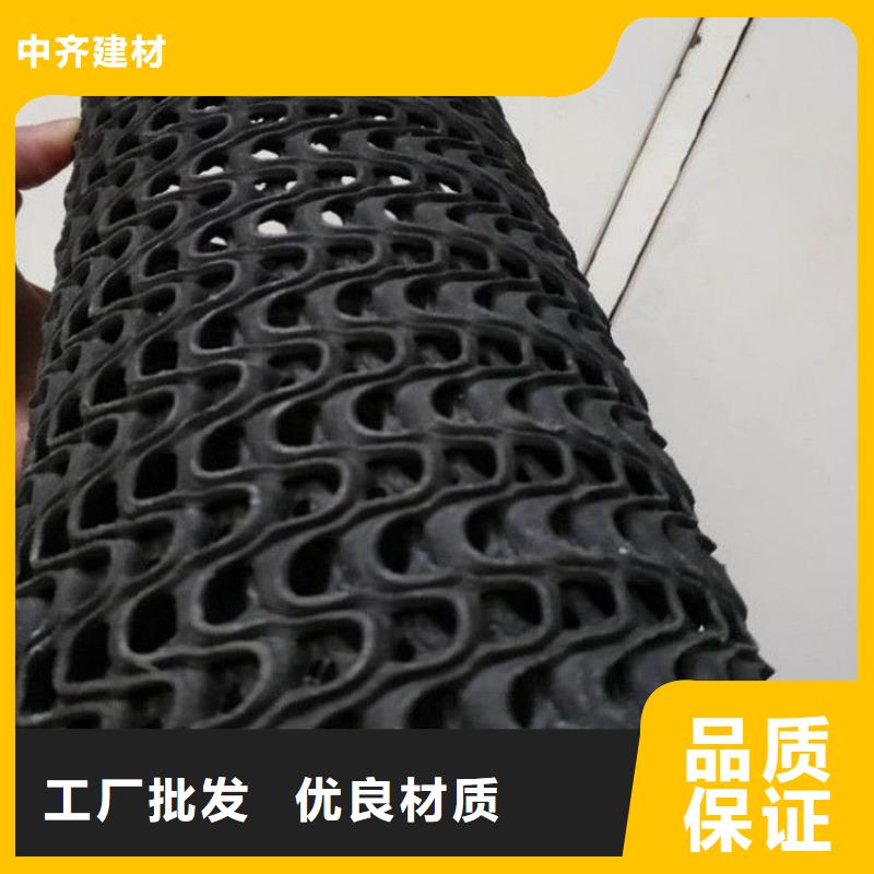硬式透水管三維植被網(wǎng)高性價比