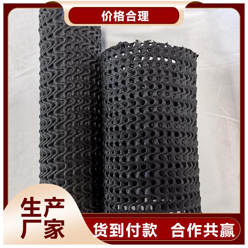 硬式透水管三維植被網實體廠家