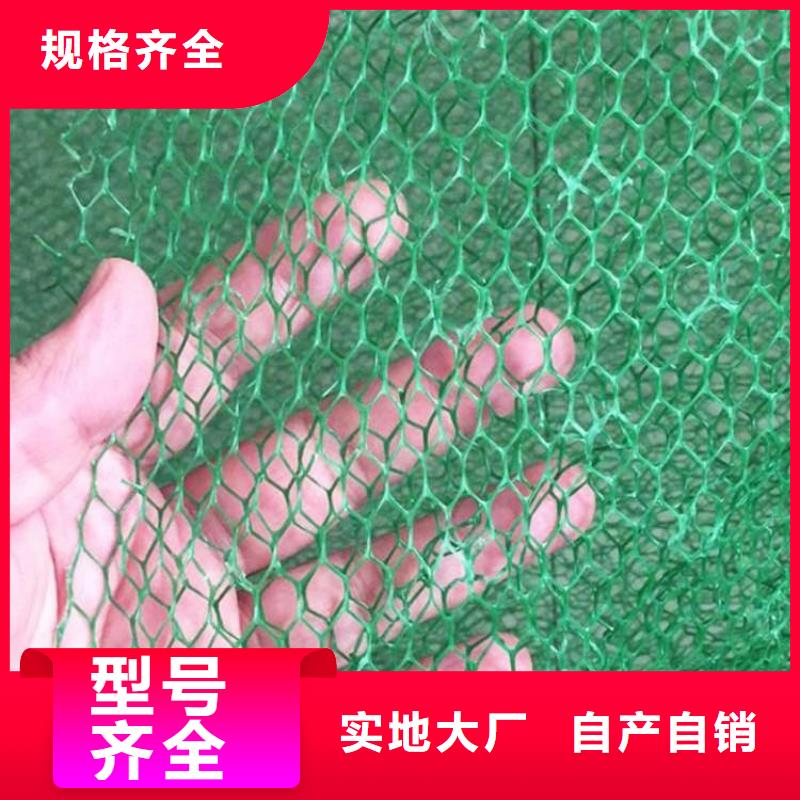 三維土工網(wǎng)墊歡迎來電