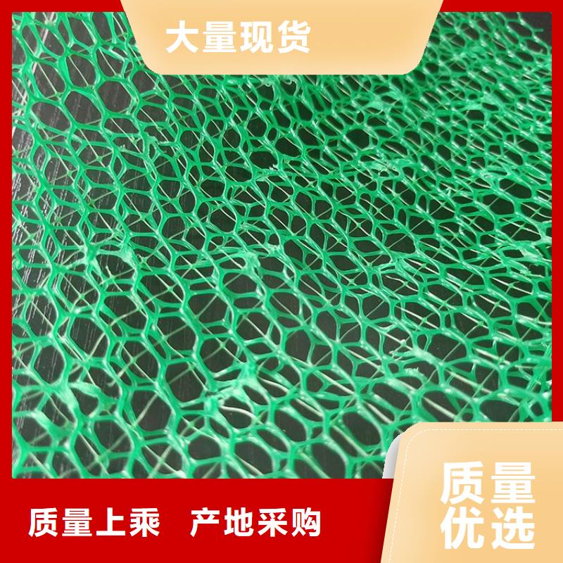 三維土工網墊工廠直銷