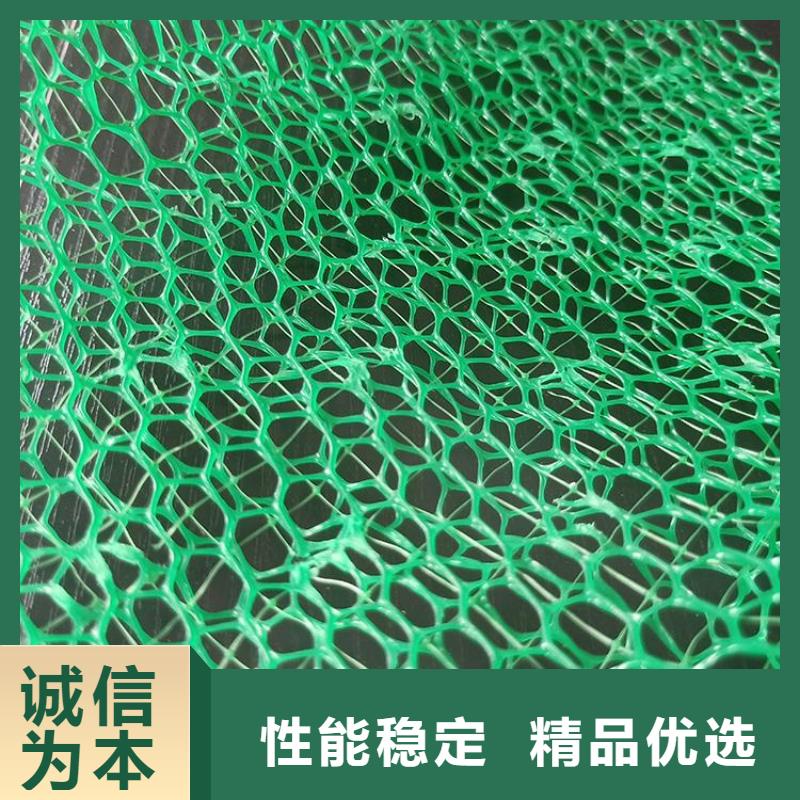 三維植被網廠家資訊-已更新