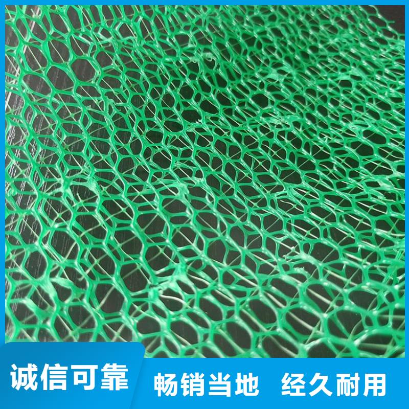 三維土工網墊工廠直銷
