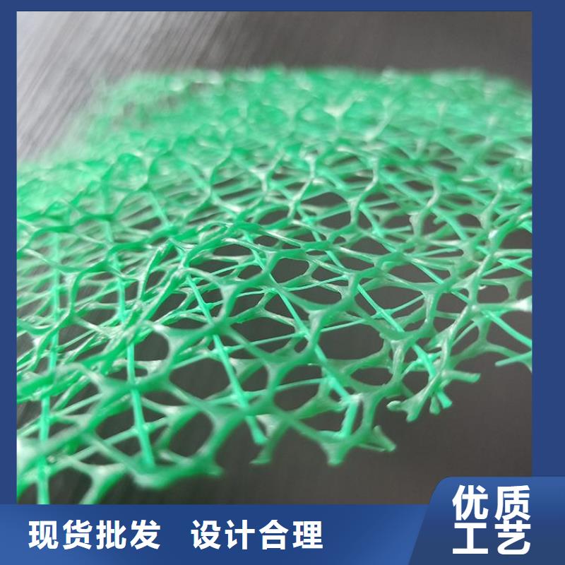 三維植被網#邊坡EM5