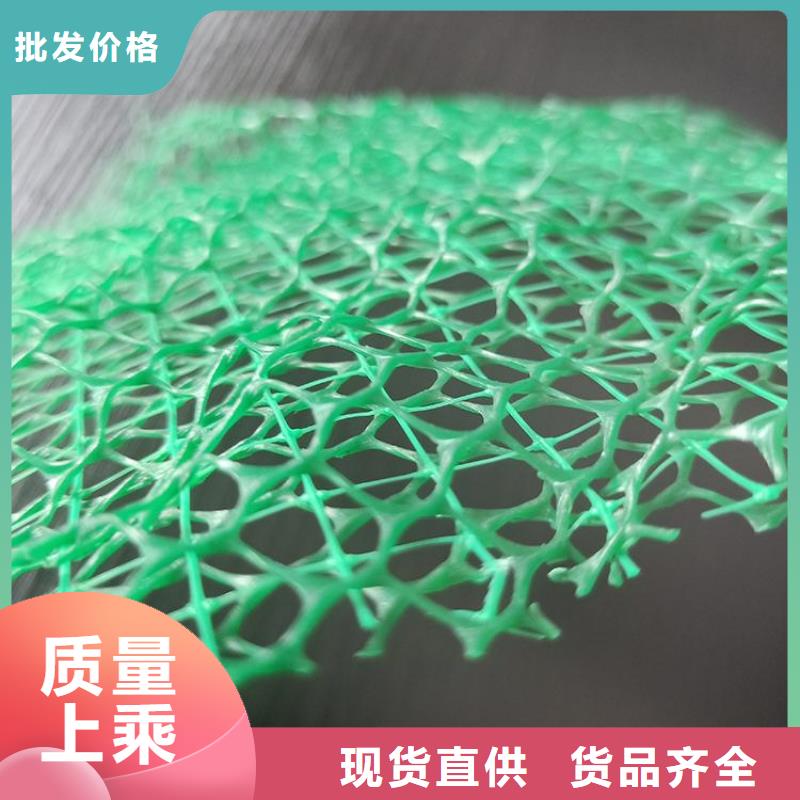 三維植被網廠家市場供應