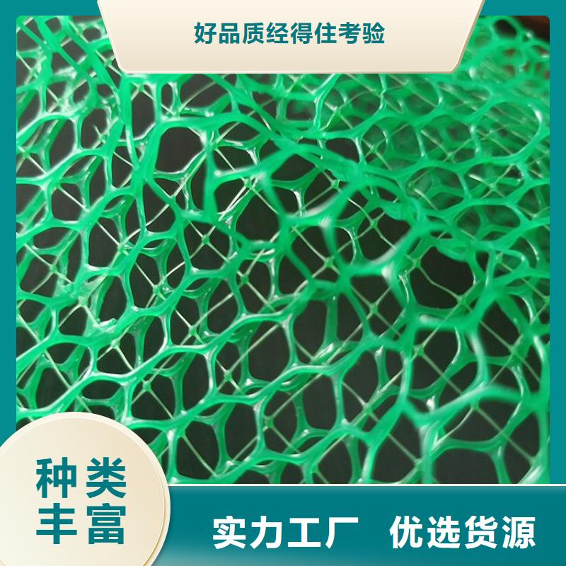 綠化EM5三維護坡加筋網墊