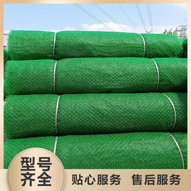 三維護坡植被網墊公司/多少錢一平