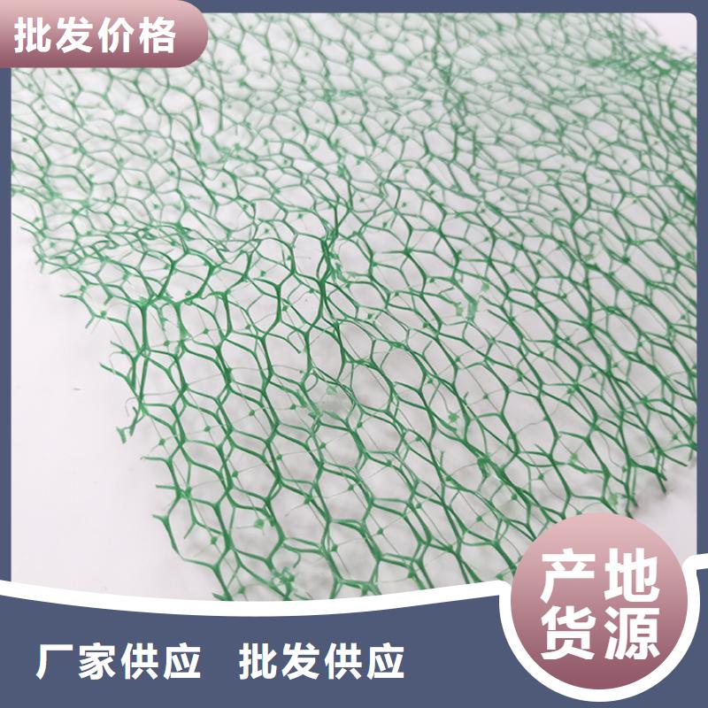 三維植被網(wǎng)波紋管常年出售