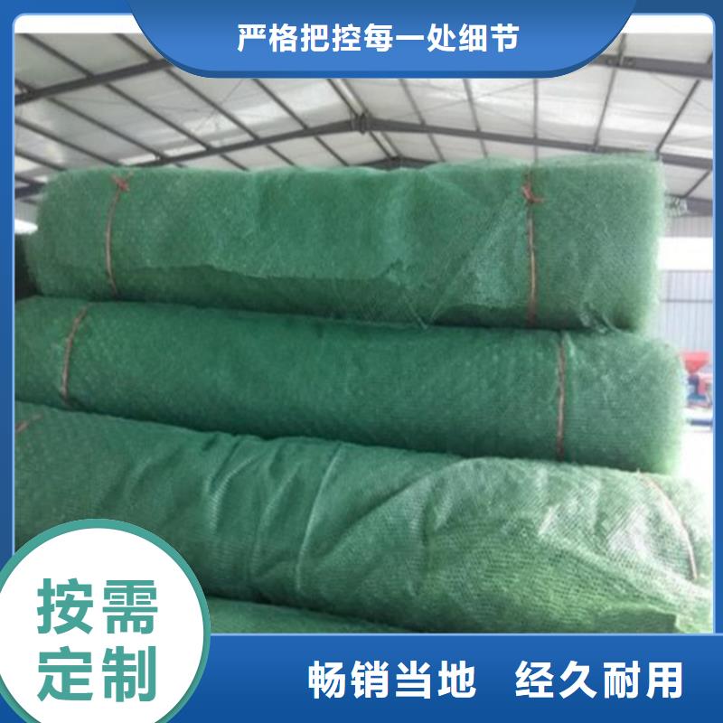 三维植被网-通风降噪丝网销售的是诚信