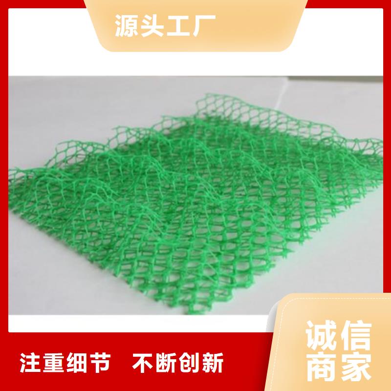 三維固土網(wǎng)墊-三維土工網(wǎng)規(guī)格厚度