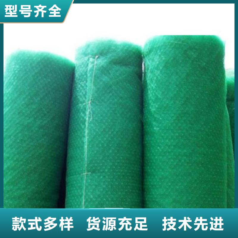 護坡加筋網(wǎng)墊-加筋三維植被網(wǎng)