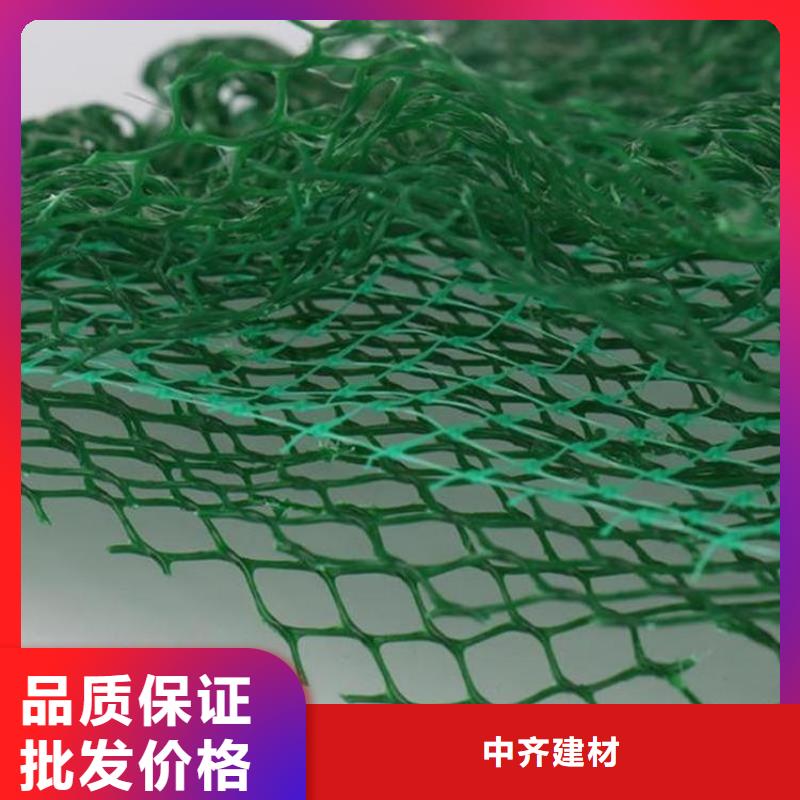 三維植被網廠家市場供應