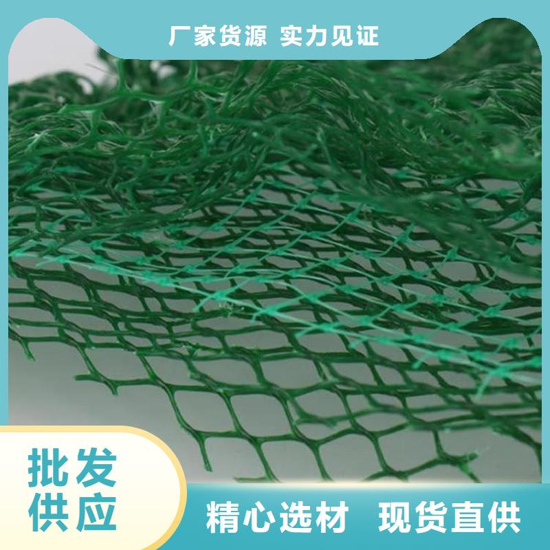 三維植被網#邊坡EM5