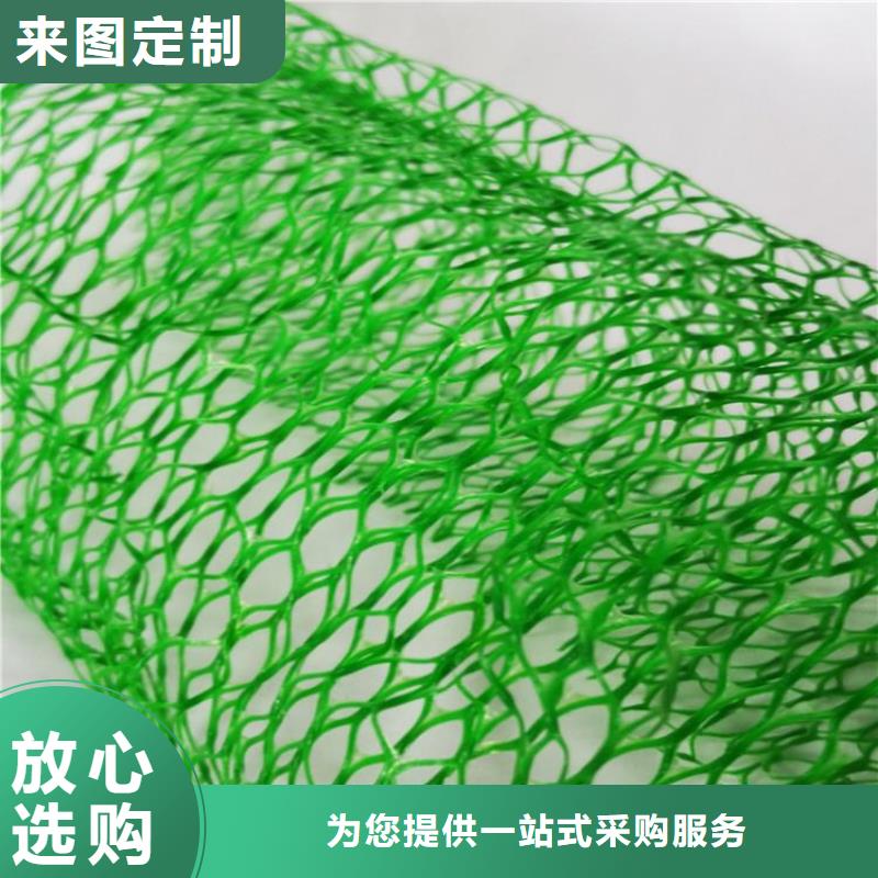 三維植被網(wǎng)_雙向土工格柵應用廣泛