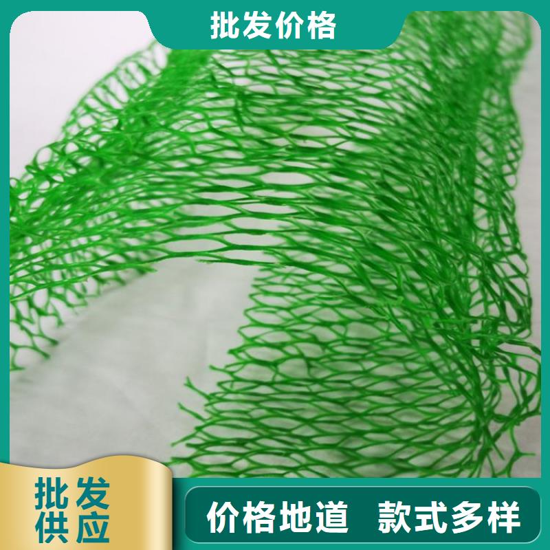 三維土工網墊-EM3三維土工網墊