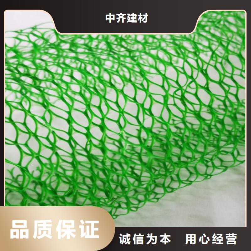 三維固土網(wǎng)墊-三維土工網(wǎng)規(guī)格厚度