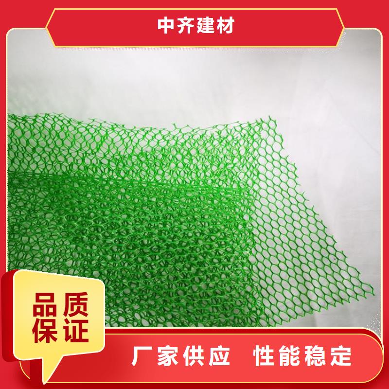 三維護坡植草網墊產品動態