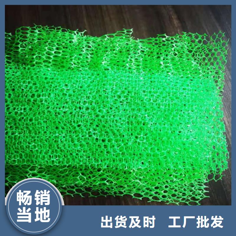 三維土工網(wǎng)墊歡迎來電