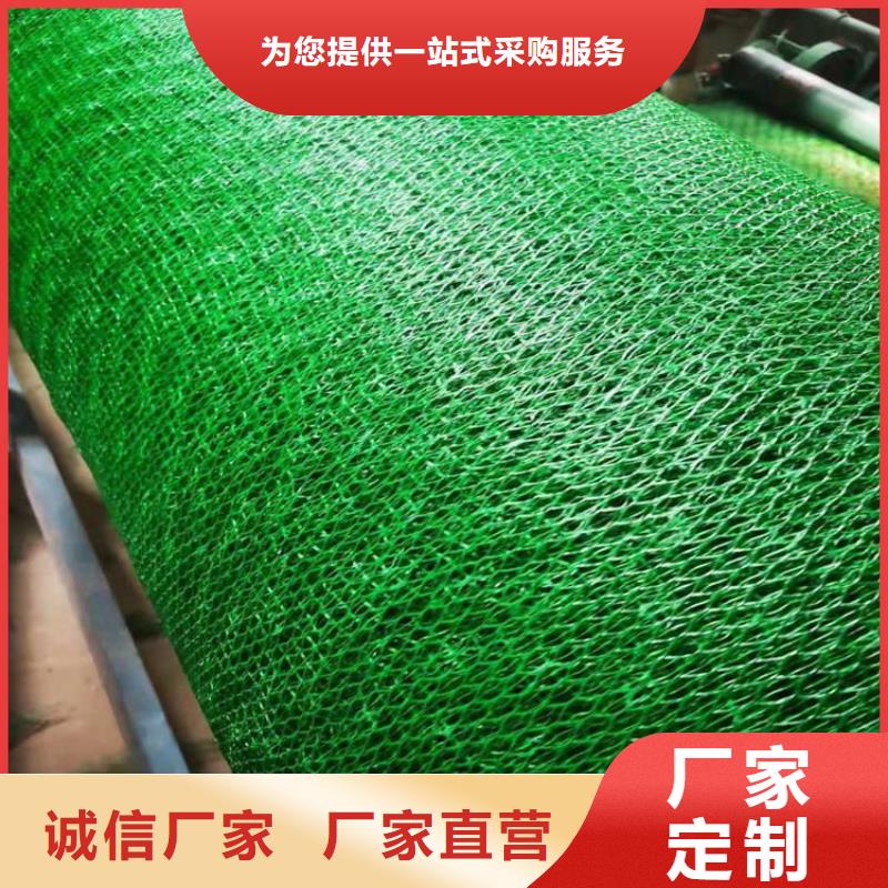 三維護坡植被網墊公司/多少錢一平