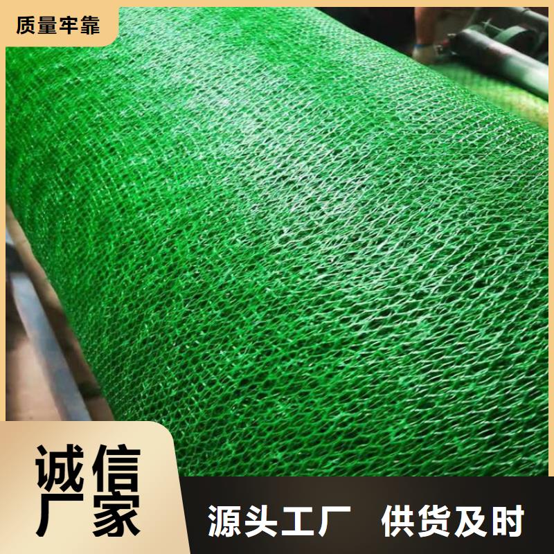 三維護坡植被網(wǎng)墊經(jīng)銷批發(fā)/多少錢一平