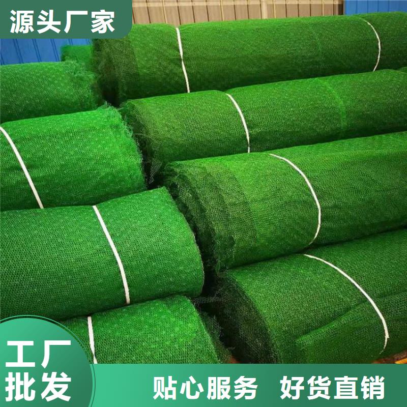 三維植被網廠家市場供應