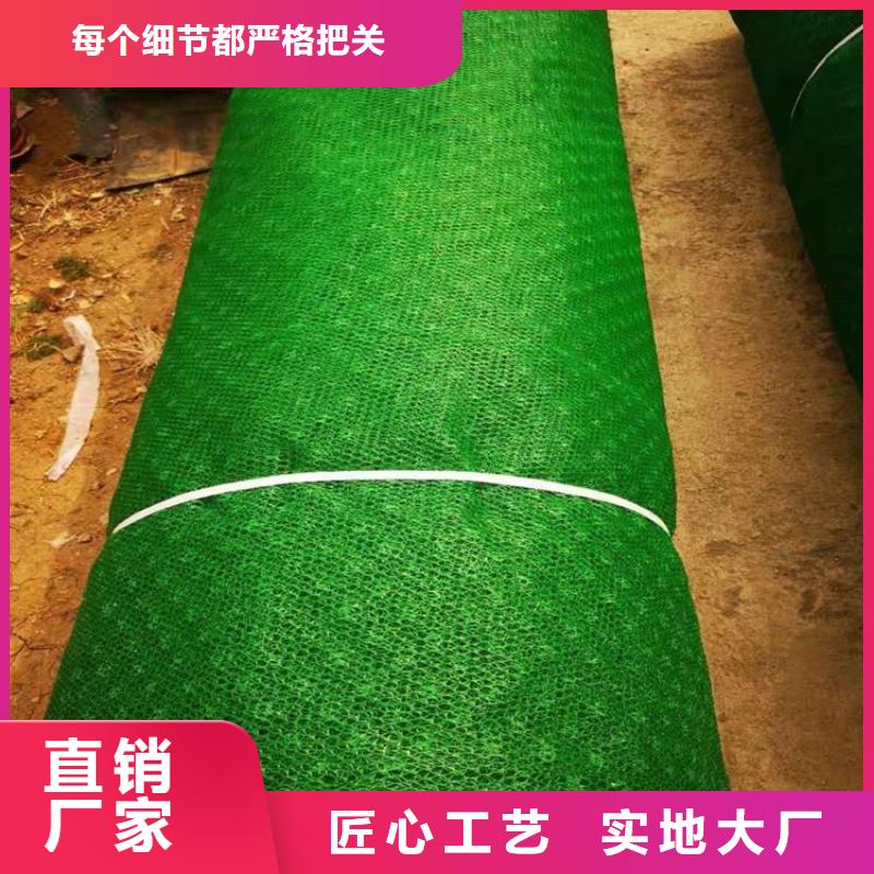 三維固土網(wǎng)墊-三維土工網(wǎng)規(guī)格厚度
