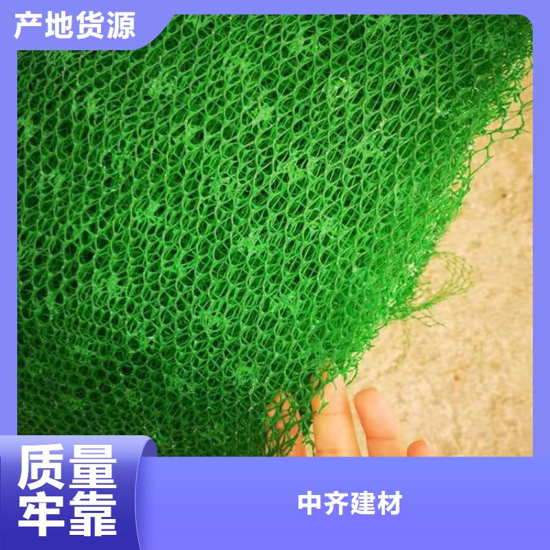 三維植被網#邊坡EM5