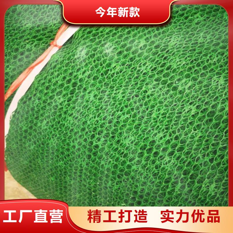 三維加筋土工網墊安裝