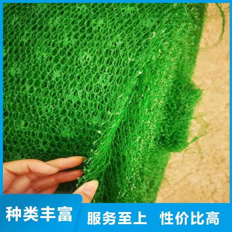 環保護坡三維護坡植被網墊