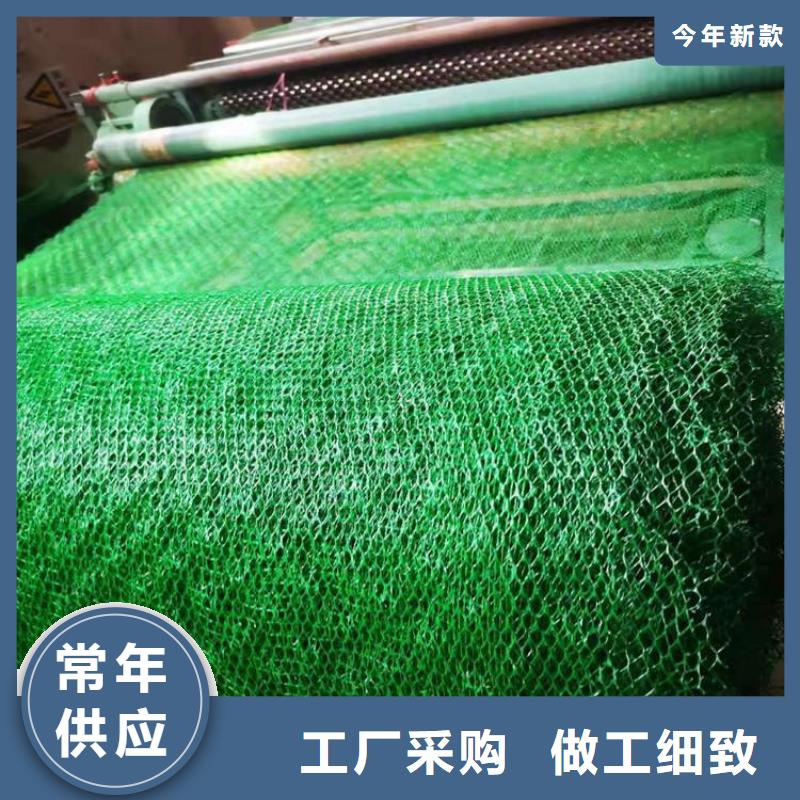 綠化EM5三維護坡加筋網墊