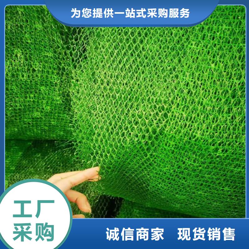 三維土工網墊工廠直銷
